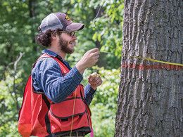 image of student measuring tree
