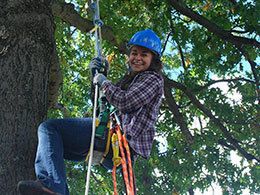 student on ropes in tree