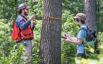 Students measuring tree